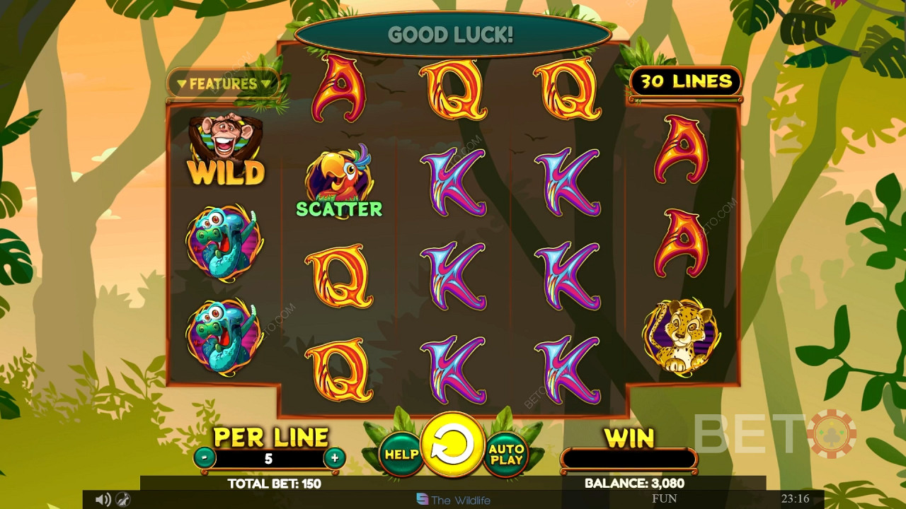 Wacky Monkey 無料プレイ