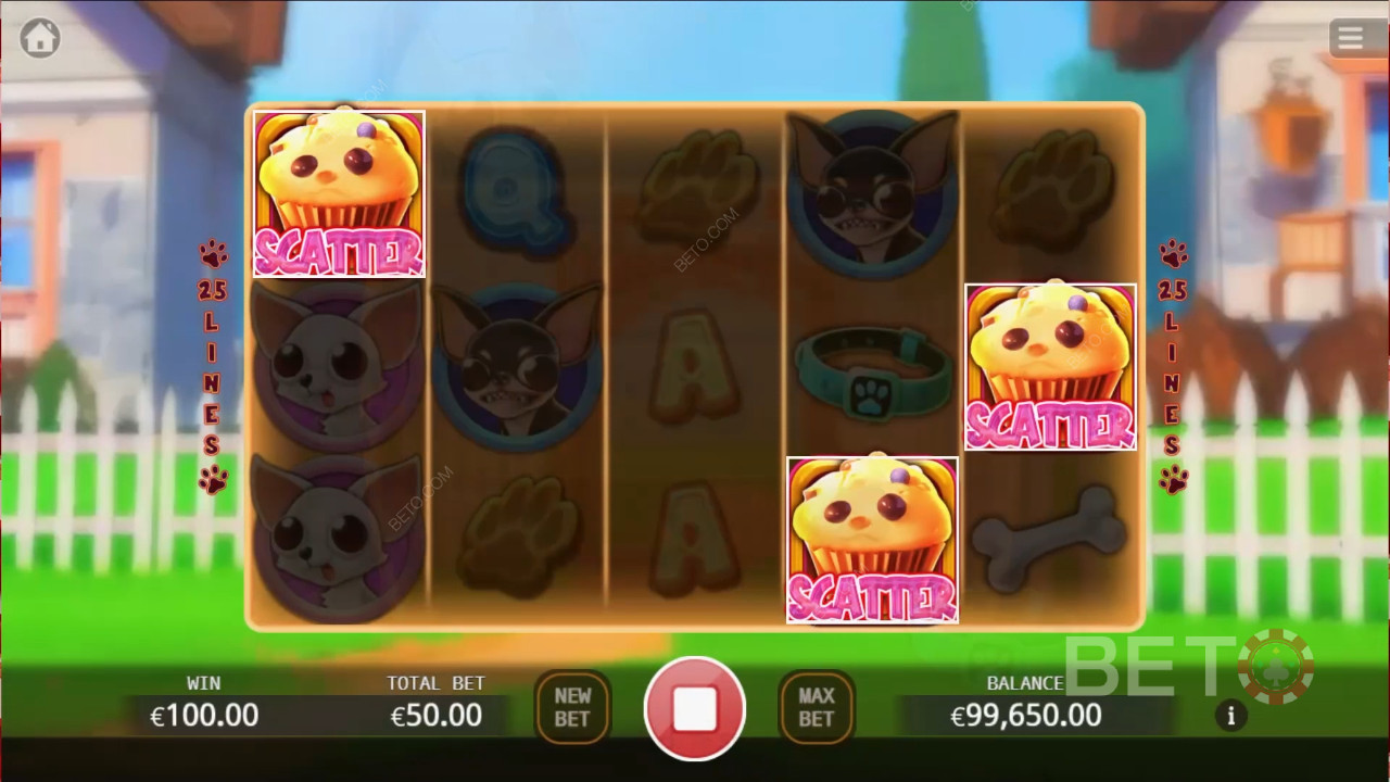 Chihuahua Party 無料プレイ