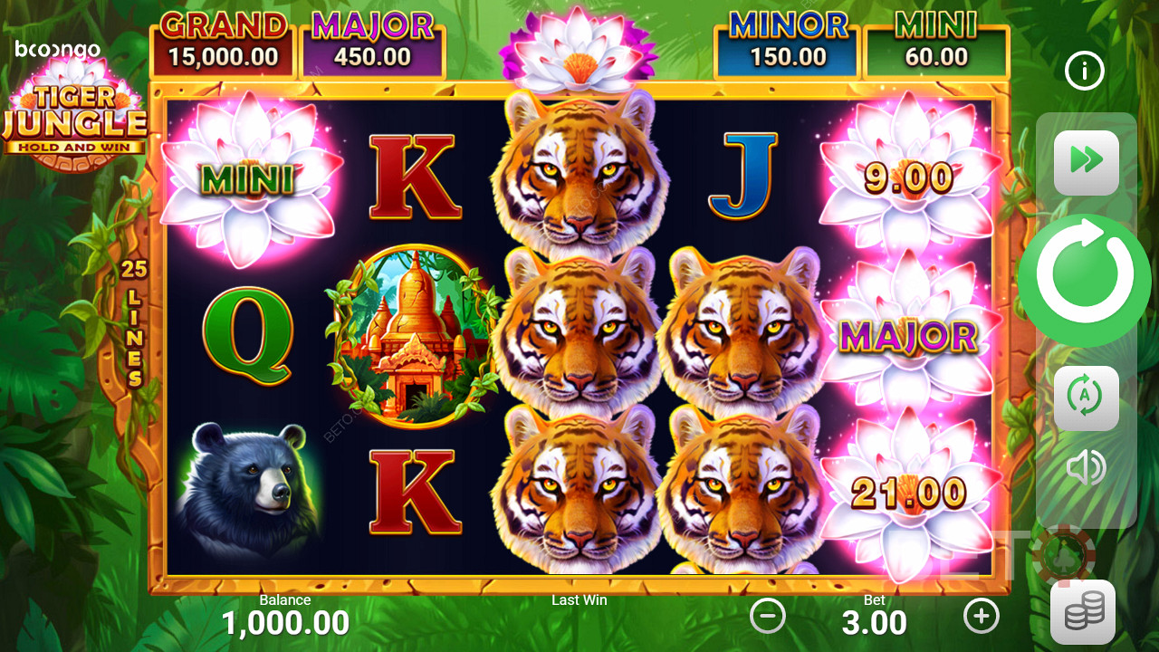 Tiger Jungle Hold and Winなどのスロットでジャックポットを当てよう