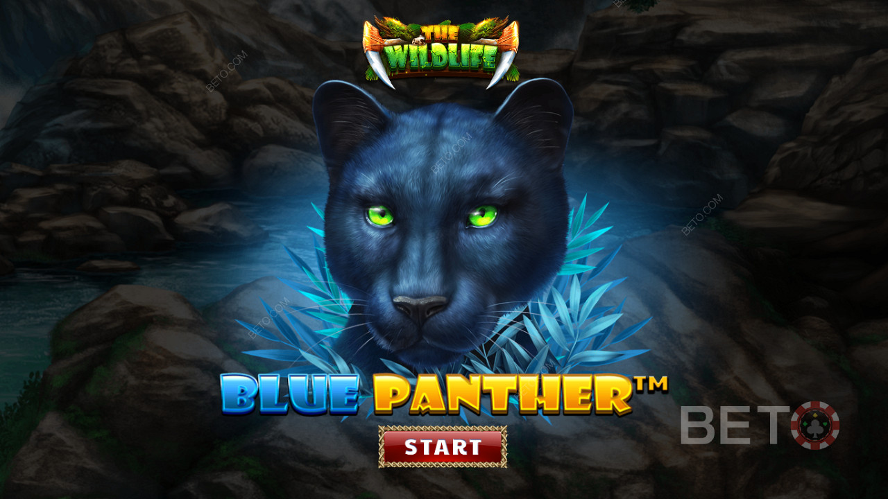 ブルーパンサースロットの夜行性の獣に囲まれてジャングルを歩き回ろう