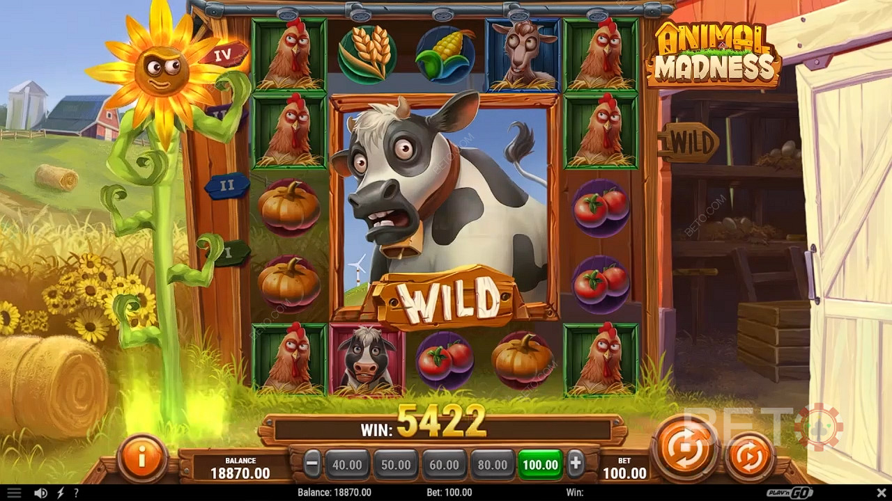 Animal Madness 無料プレイ