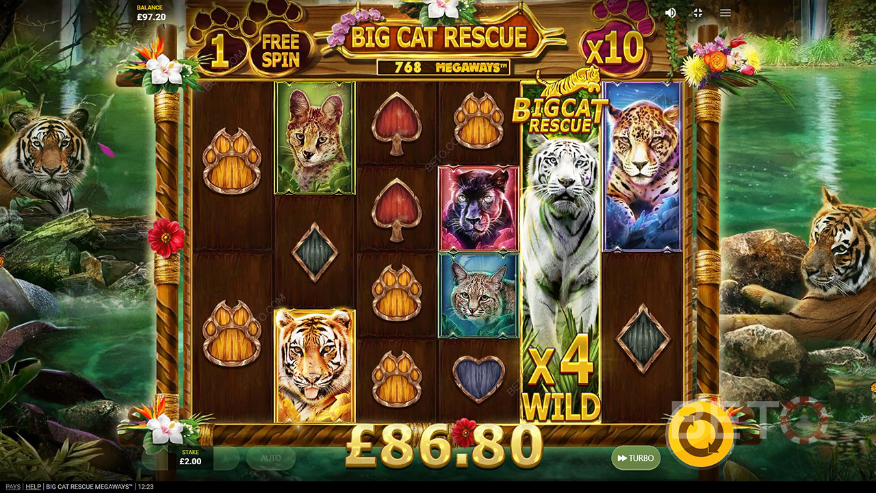 Big Cat Rescue Megaways 無料プレイ