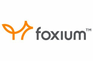 Foxium ᐈ スロットを無料でプレイ ✚ レビューを読む (2025)