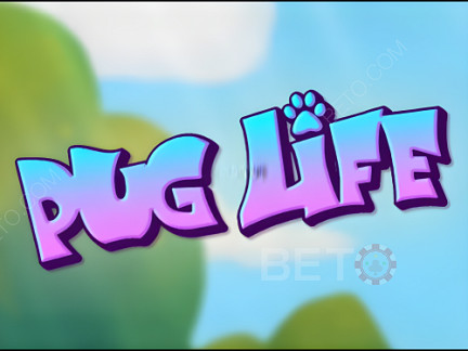 Pug Life デモ版