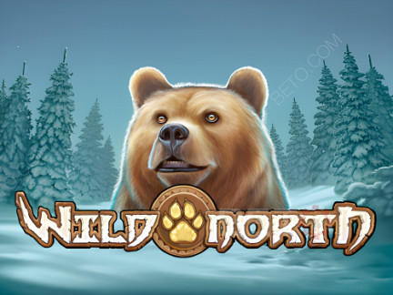 Wild North (Play’n Go) デモ版