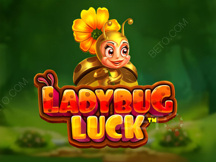 Ladybug Luck  デモ版