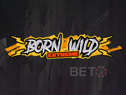Born Wild デモ版