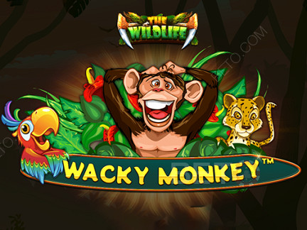 Wacky Monkey デモ版