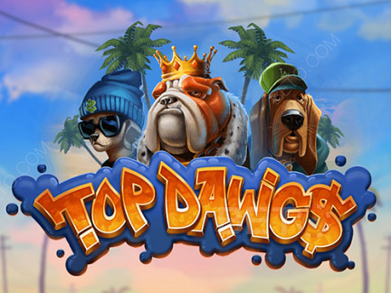 Top Dawgs デモ版
