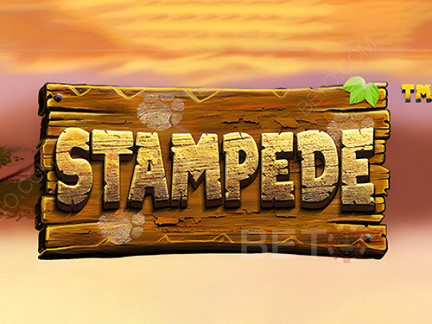 Stampede (Betsoft)  デモ版