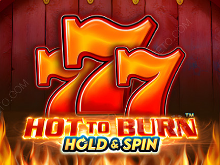 Hot To Burn Hold And Spin デモ版