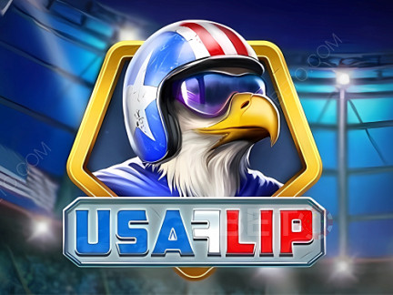 USA Flip  デモ版