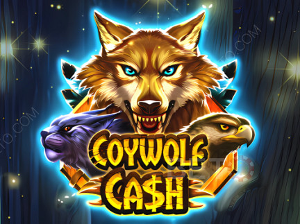 Coywolf Cash デモ版