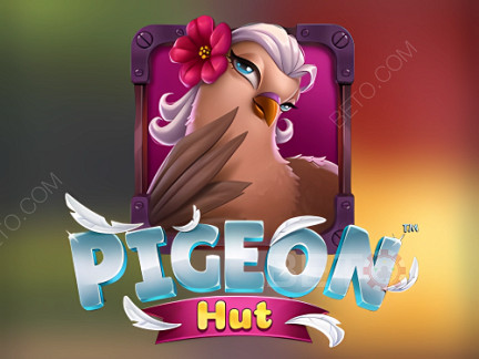 Pigeon Hut デモ版