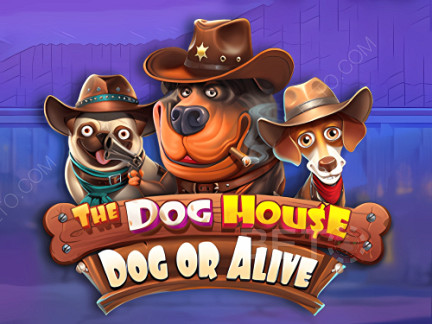 The Dog House - Dog or Alive デモ版