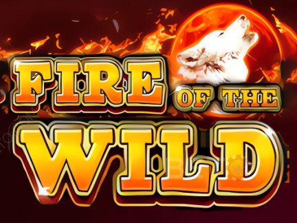 Fire of the Wild デモ版