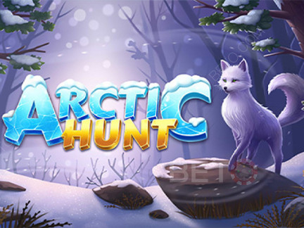 Arctic Hunt デモ版