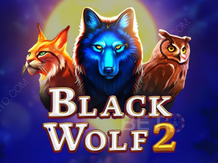 Black Wolf 2 デモ版