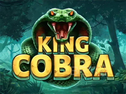 King Cobra デモ版