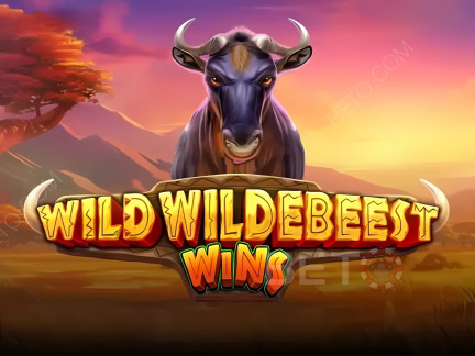 Wild Wildebeest Wins デモ版