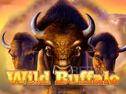Wild Buffalo デモ版