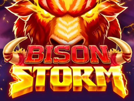 Bison Storm デモ版