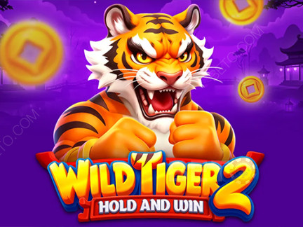 Wild Tiger 2 デモ版