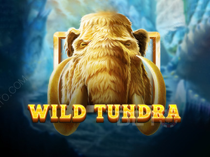 Wild Tundra デモ版