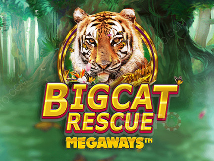 Big Cat Rescue Megaways デモ版